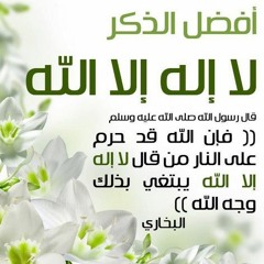 أنشودة لا إله إلا الله - محمد النجار