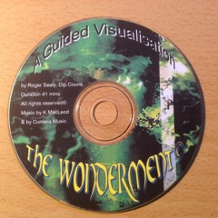 Wonderment Sample For MP3.MP3