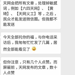内地与外国微信用户 审查准则有别