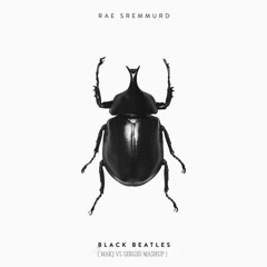 Black Beatles ( Makj Vs SVO "PITCH" ) FOR ORGINAL TEMPO CLICK BUY)