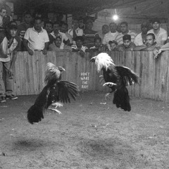 Black Pistol Fire - Blue Blazes