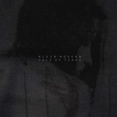 Bleib Modern - Dust