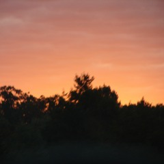 Neil Young- Harvest Moon Cover