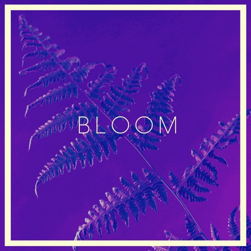 Bloom