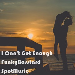 FunkyBasstard - I Can't Get Enough (original Mix)