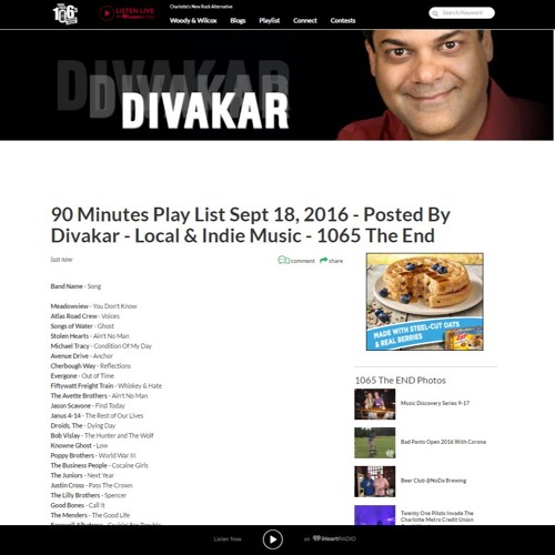 The Hunter And The Wolf (Featuring Steven Welsh)(Radio Edit)