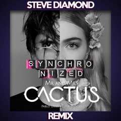 Mr & Mrs Cactus - Synchronized (Steve Diamond Remix)