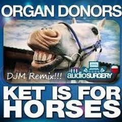 Organ Donors - Ket Is For Horses (Djm Hard Mix )