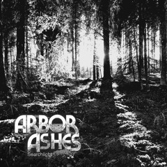 Searchlight (acoustic)