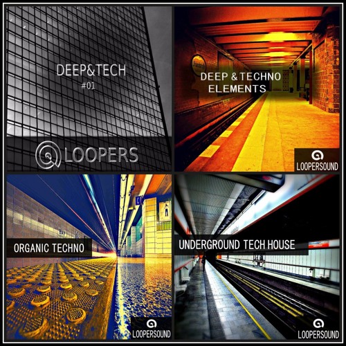 Techno and House (Bundle)