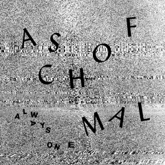 E41 Aschof Mal vinyl guest mix