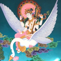 Pema - Symbiosis2016