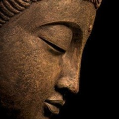 La Frip's VS Serum Of Life. (Remix)