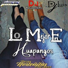 Lo Mejor En Huapangos Ft. Dj Luis - Dj ChapitoMixx