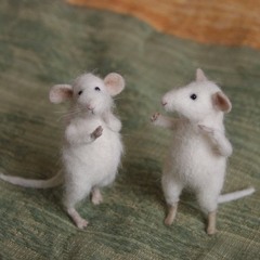 Max Reger Op.76 No.48 Zwei Mäuschen