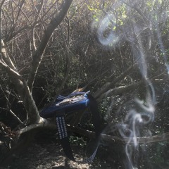 Psychedelic Mud [Original]