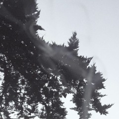 Time Dilation