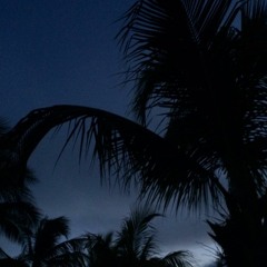 never feat. whensday