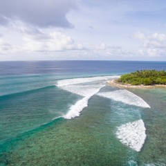 Surf Shack 2017