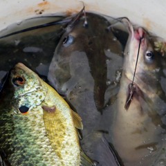 when you smile whole world smile on you