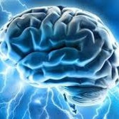 Dear Refeoh, Episode 46- Dredged Mind