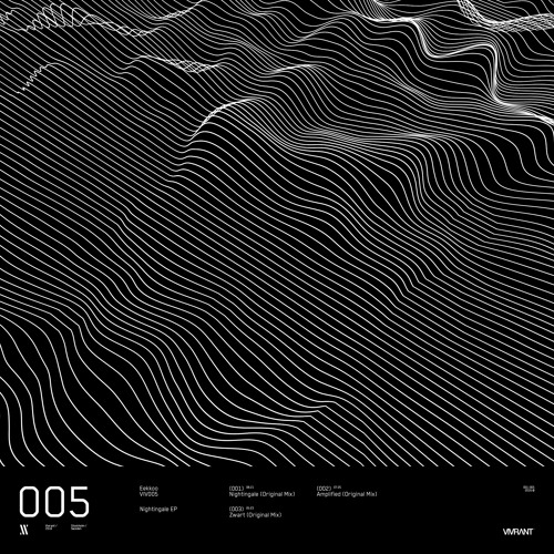 Eekkoo - Amplified (Original Mix)