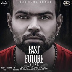 Past Future - Miel