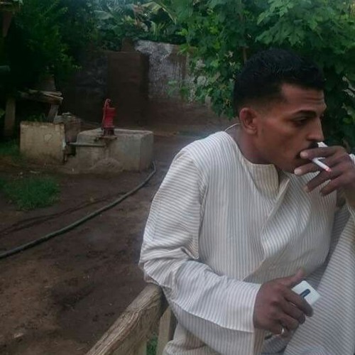 ربيع البركة _ واجمل ما غني _ تسجيل ايمن همام