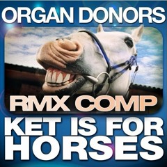 Ket Is For Horses (PARANOiD DJ Remix)*Organ Donors Remix Competition Entry*
