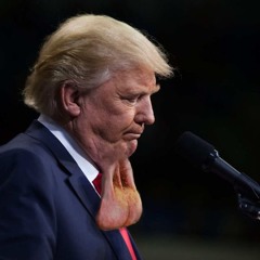 Happy Go Sucky Fucky (Die Antwoord Remix) feat Donald Trump