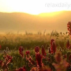 RelaxDaily - 109