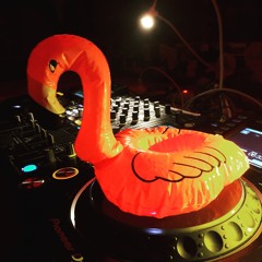 Sebastian Jaensch @ Odonien Winter Edition 2, Lustigwandern & Timeless 19.11.16