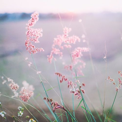A_Wish4(Royalty Free Music)