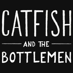 Catfish & The Bottlemen - Laid (Cover)
