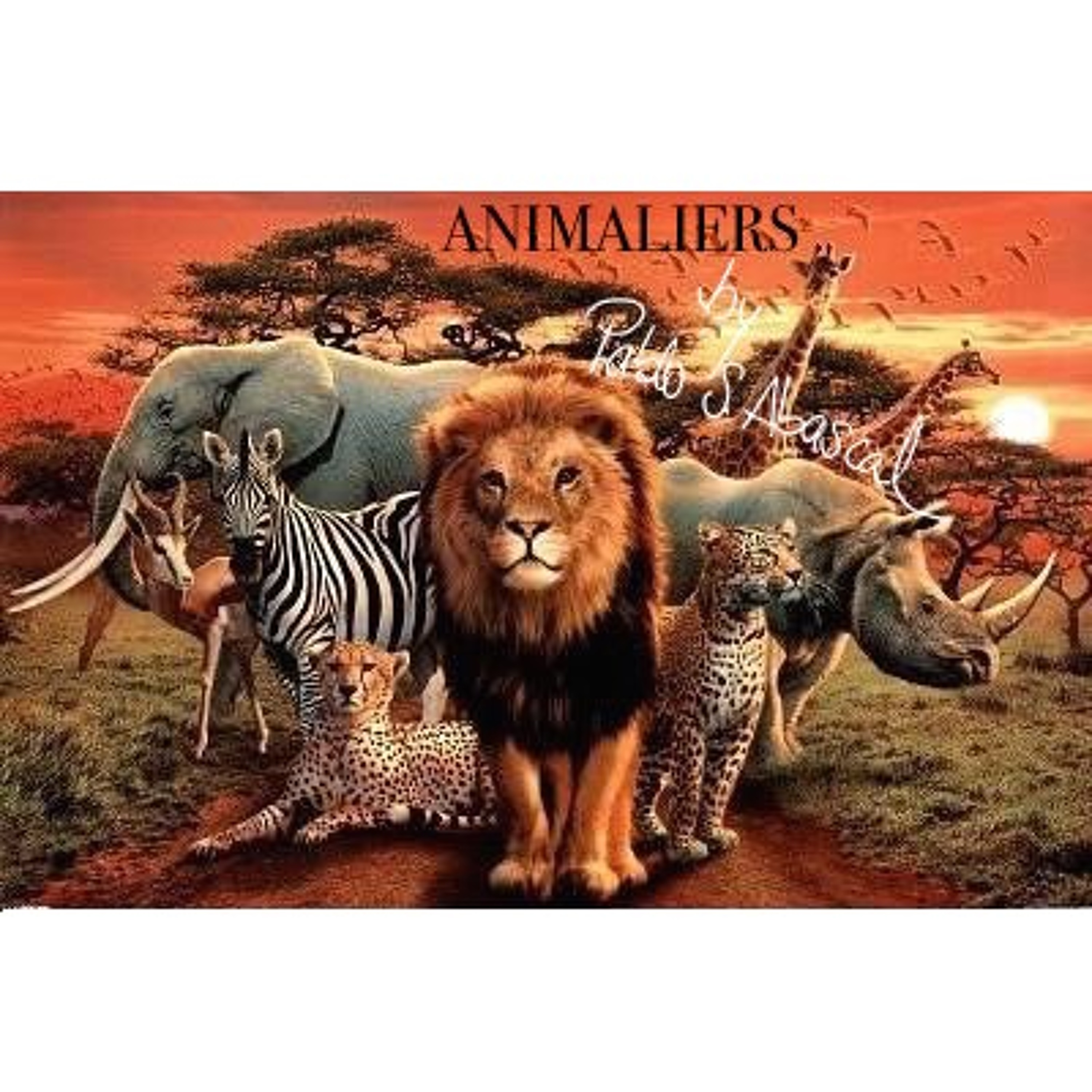 ANIMALIERS episode artwork