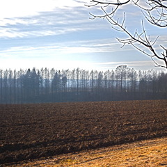 Home (Edward Sharpe And The Magnetic Zeros) - Cover