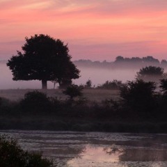 Matin