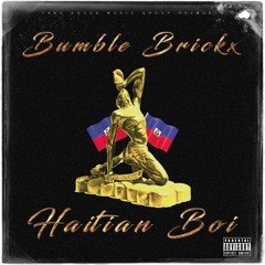 Haitian Boy- Bumble Brickx