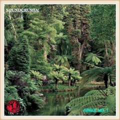 Soundcrusha! Jungle Mix 1 Set