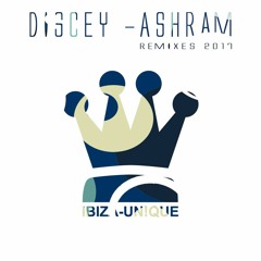 DISCEY ASHRAM REMIX 2017 - REMIX YANA 4life