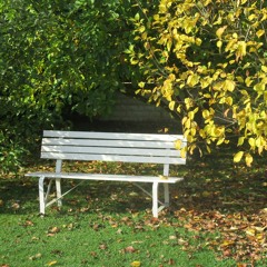 Intimite talks (Sonata for flute and cello)