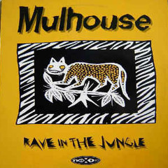 Mulhouse - Rave In The Jungle