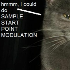 Optical Path (old tape trax)