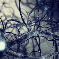 A Walk Through My Mind... (Free Download)