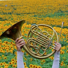 KC Calling by Daniel Morel