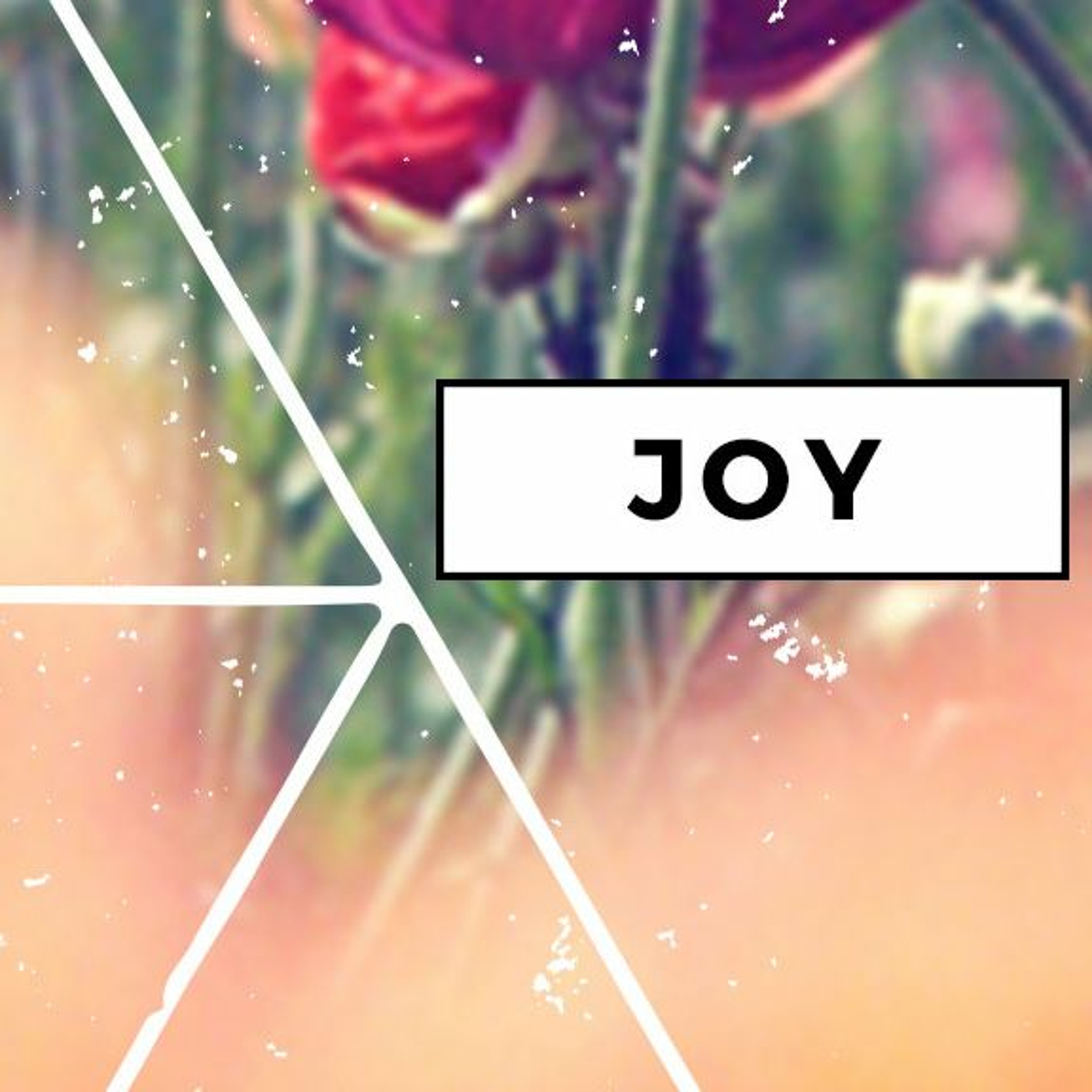 Advent 2016 : Joy (James 1: 2-6)| Chris | December 4th 2016 episode artwork