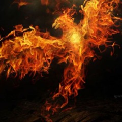 SPITTING FLAMES- FREESTYLE