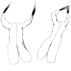 Coitus Interromptus v1