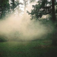 Brassels Sprout - PhaseVerbs (Ed Moriconi)