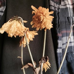 ameba. - flowers don't last forever[DOWNLOAD IN DESC.]